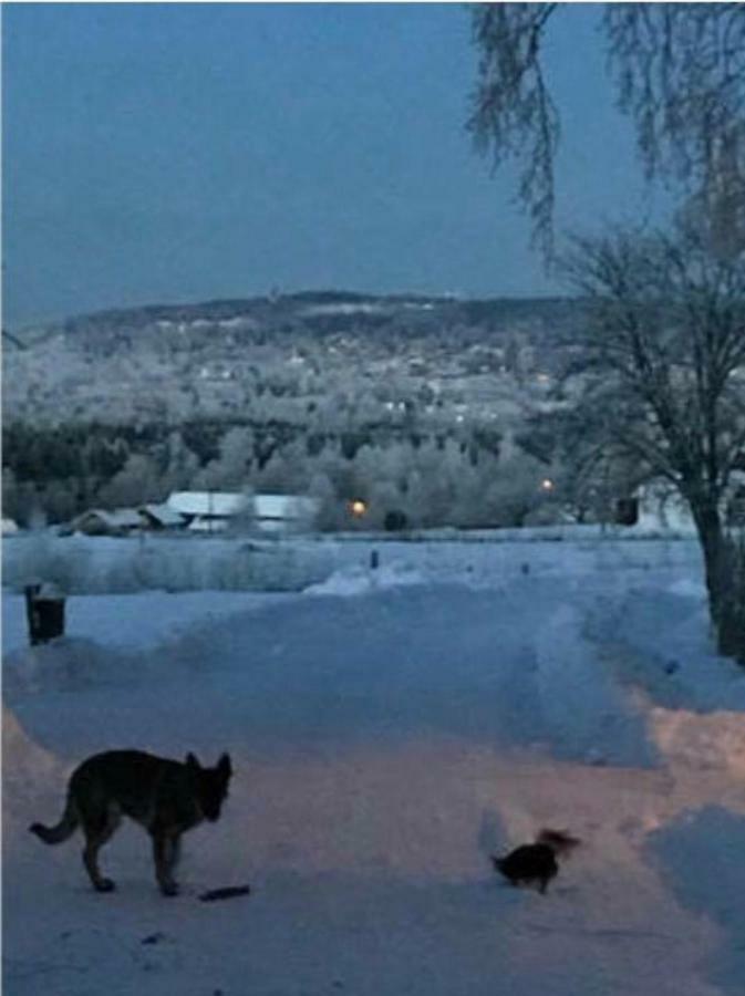 Willa Det Gamla Panget Tällberg Zewnętrze zdjęcie